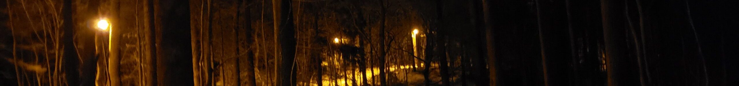 20210112_172953-min 20210112_172953-min